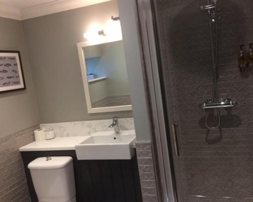 Room, family, private bathroom