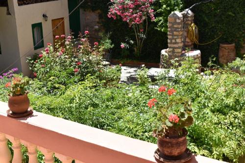 棕榈树宾馆 棕榈树宾馆