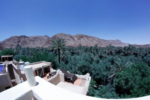 棕榈树宾馆 棕榈树宾馆