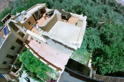 棕榈树宾馆 棕榈树宾馆