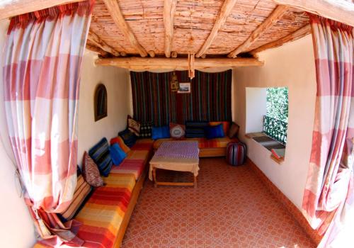 棕榈树宾馆 棕榈树宾馆