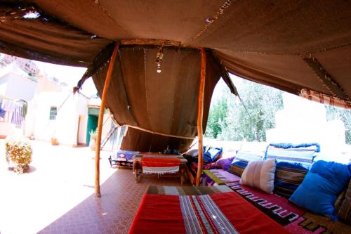 棕榈树宾馆 棕榈树宾馆