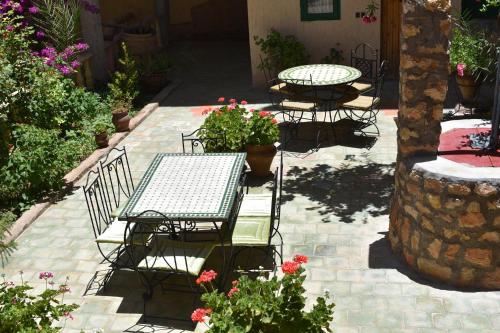 棕榈树宾馆 棕榈树宾馆