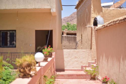 棕榈树宾馆 棕榈树宾馆