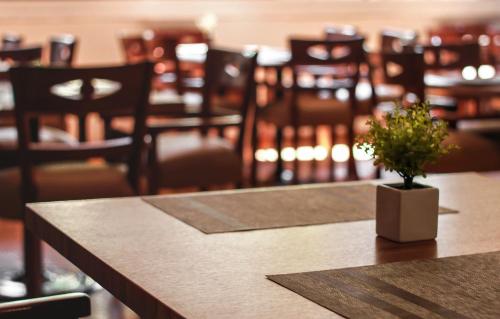Hotel Oslo - image 4