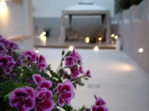 Buono B&B