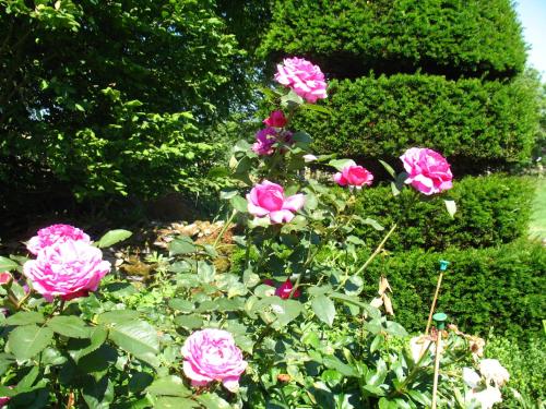 山丘酒店 山丘酒店