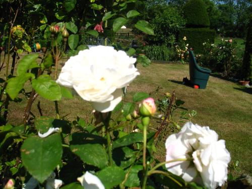 山丘酒店 山丘酒店