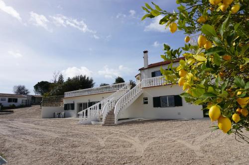 Quinta das Camélias (Quinta das Camelias) in Pombal