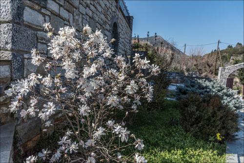 Stone Mansion Anavryti, ΑΜΑ 20569