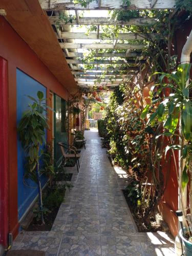 Létesítmények, Hostal Michel in Vicuna