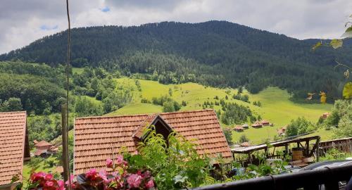 A környék, Domacinstvo Prentovic in Ljubiš