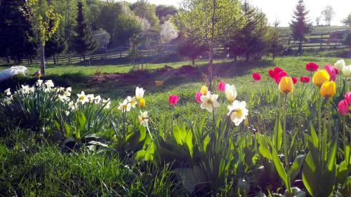 Sunnyside - image 14
