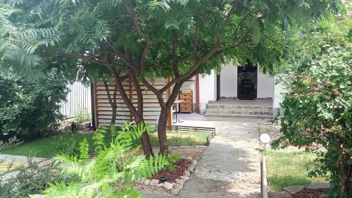 Vista exterior, Casa la Petcu in Costinesti