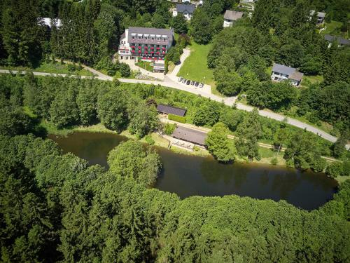 Waldhaus am See in Willingen, Deutschland