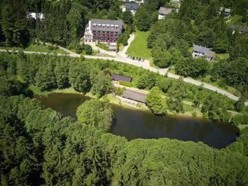 Waldhaus am See in Willingen, Deutschland