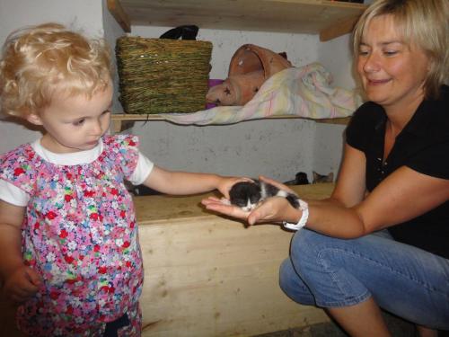 兹塔斯巴瓦农家乐 兹塔斯巴瓦农家乐