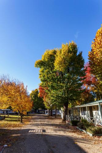 Discovery Parks - Mount Buffalo