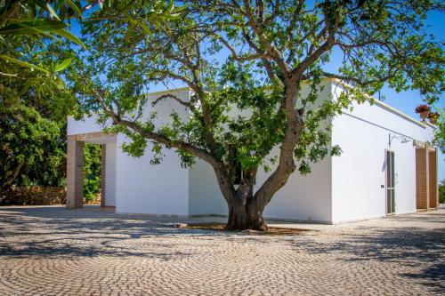 Villa Vanessa Villa Vanessa