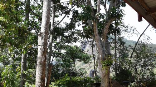 Jaye Homestay - image 2