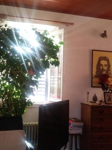  Apartment in the old Town of Corfu in Korfu-Stadt