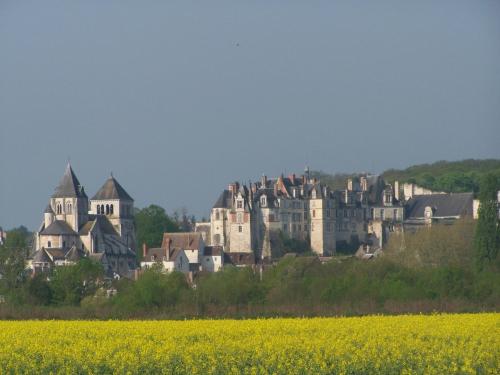 La Tribu de Beauval 6ch grand terrain et parking privé