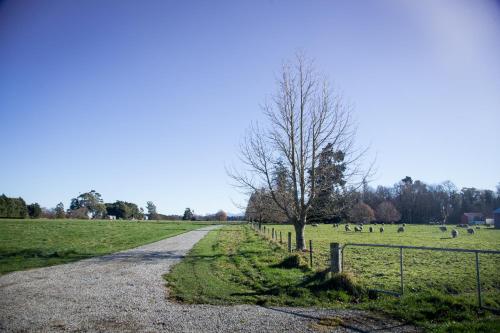 Kilátás, Coldstream Estate - The Whare in Mt Hutt