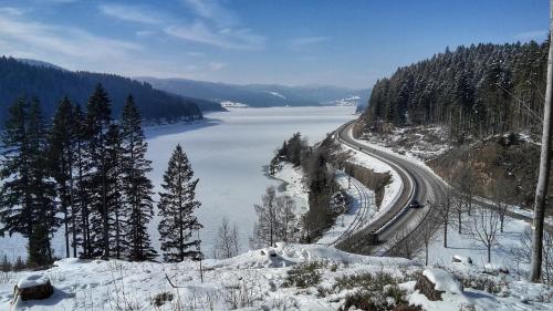 Hochschwarzwald-Hof - image 14