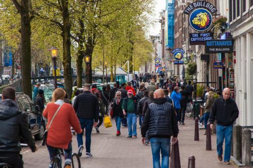 Travel Hotel Amsterdam - image 11