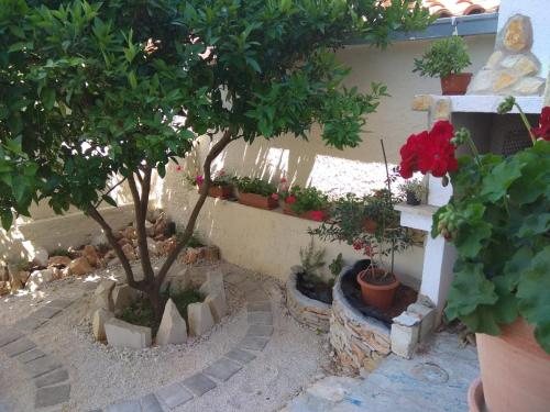  Apartment Elaphos in Supetar