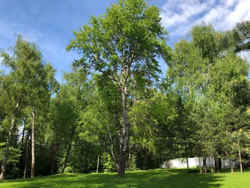 Green Gorka Country Holiday Park - image 2