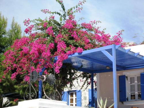 Paradise Resort - main image