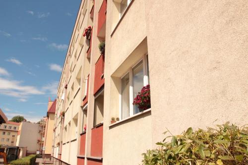 visit baltic - Paderewskiego - image 7