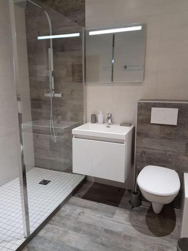 Executive Studios near Basel - Schallbach