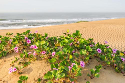 Mtunzini BnB in 伍尊哲里