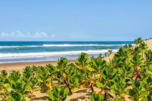 Mtunzini BnB in 伍尊哲里