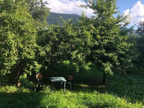 Ametapi, Mestia (photo 6)