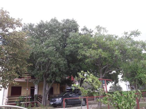  Apartments Kanjon in Starigrad-Paklenica