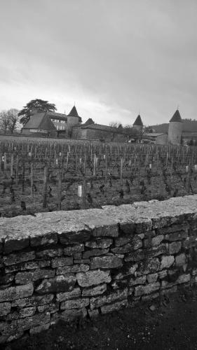 domaine la fontaine du mont