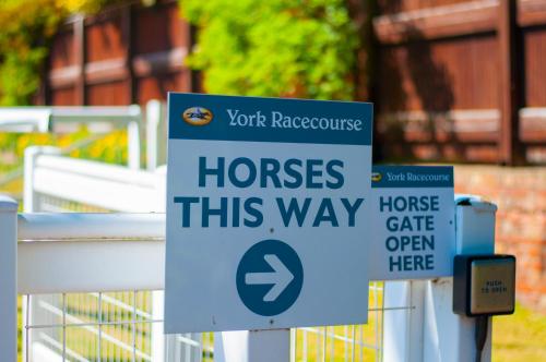 Stableside at York Racecourse