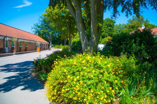 Garden, Stableside Hostel at York Racecourse in York