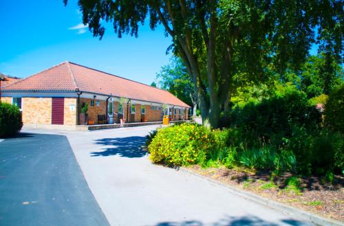 Stableside at York Racecourse