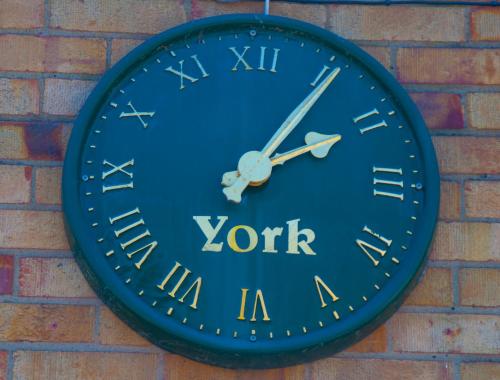 Stableside at York Racecourse