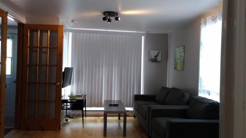 Koplietošanas atpūtas telpa ar TV, Les Appartements de La Bergeronnette in Grandes-Bergeronnes (QC)