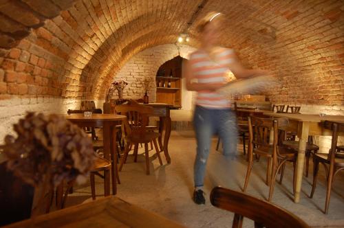 Guesthouse Slavia - apartmany s vinnym sklipkem in Mikulov