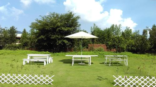 168 Living Water in Dongshi distrikt