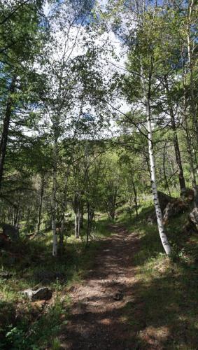 My Mongolia Eco Ger Camp My Mongolia Eco Ger Camp