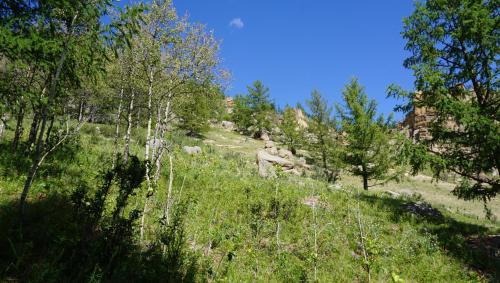 My Mongolia Eco Ger Camp My Mongolia Eco Ger Camp