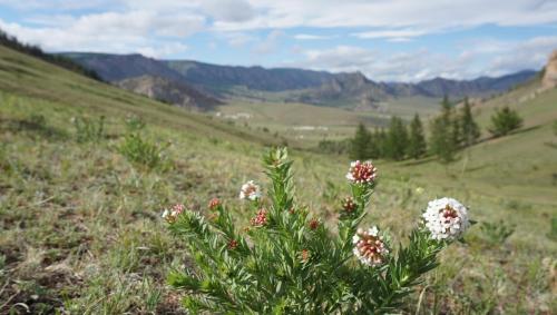 My Mongolia Eco Ger Camp My Mongolia Eco Ger Camp
