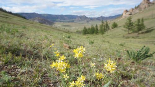 My Mongolia Eco Ger Camp My Mongolia Eco Ger Camp